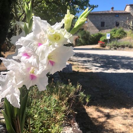 ראדה אין קיאנטי Agriturismo Malpensata מראה חיצוני תמונה
